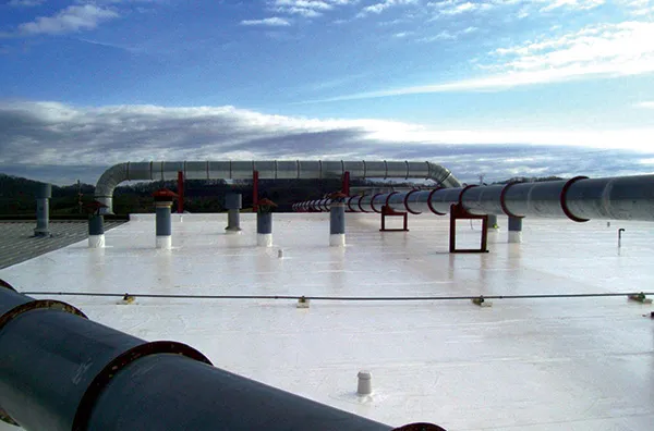TPO commercial roof